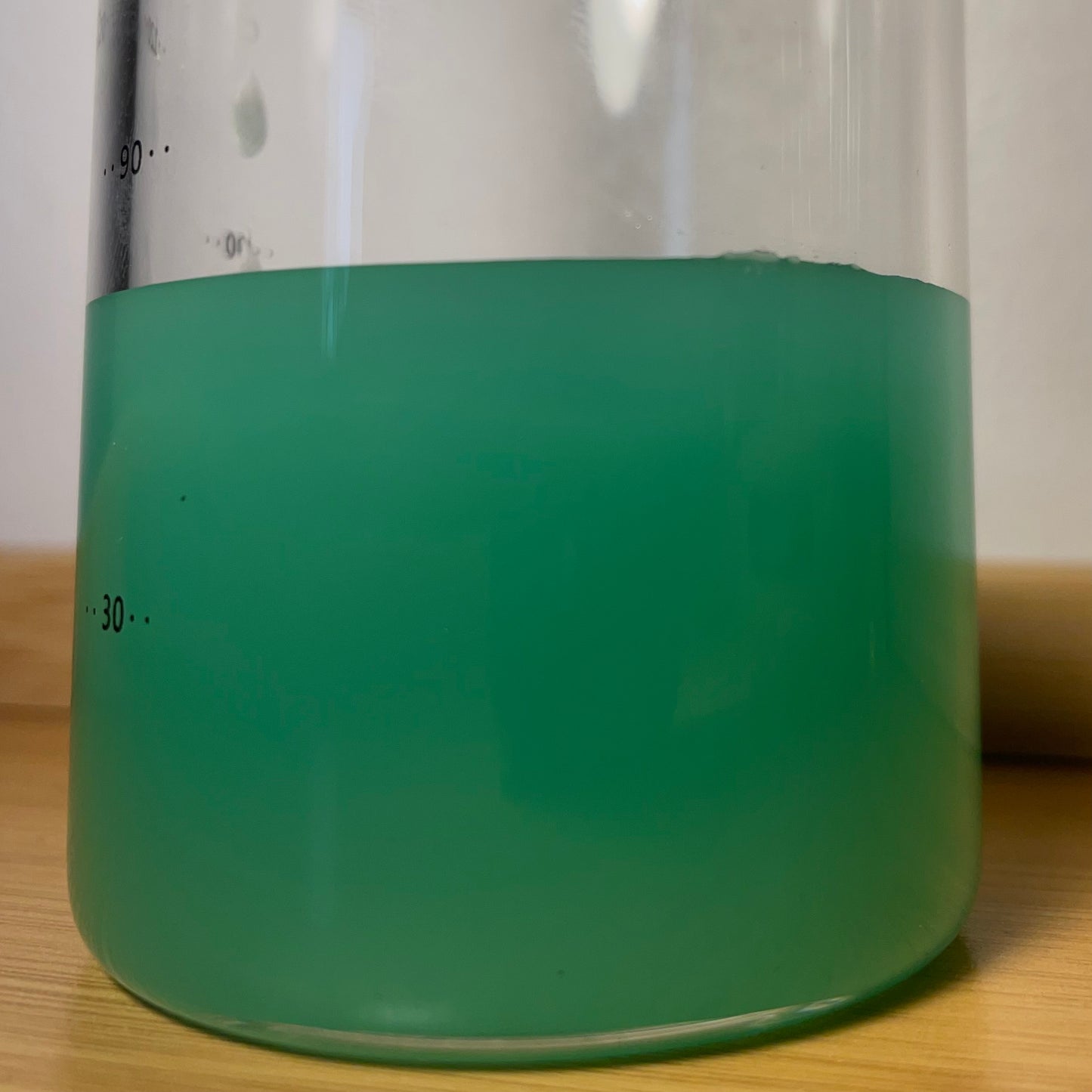Blue Tahara